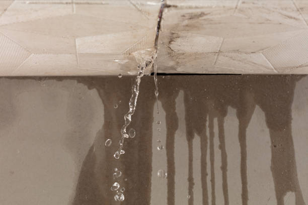 Professional Water Damage Repair technician working in Oradell, NJ